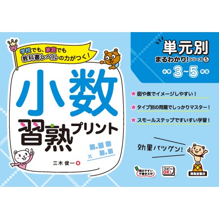 専用》単元別 まるわかり！シリーズ 小学生 算数 習熟プリント 小学生